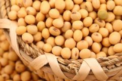 哪些食物有解酒的作用？哪些食物有解酒的功效？[圖]