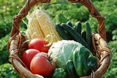 哪些蔬菜最適合夏季食用？夏季怎樣吃蔬菜既養(yǎng)生又抗癌？[圖]