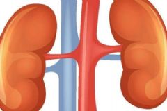 男性腎不好有哪些癥狀？男人要如何養(yǎng)腎？[圖]