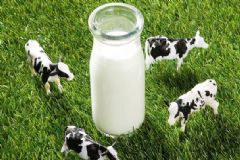 哪些食物有補(bǔ)腦的功效？如何給腦子補(bǔ)充能量？[圖]