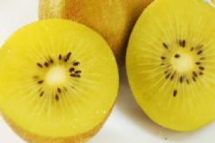 去屑止癢的食物有哪些？吃什么去屑止癢效果好？[圖]