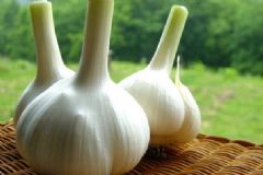吃大蒜能預(yù)防肺癌嗎？生吃大蒜的好處有哪些？[圖]