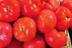 蔬菜的錯(cuò)誤吃法有哪些？吃蔬菜有哪些常見的誤區(qū)？[圖]