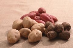 哪些素食營養(yǎng)勝過肉類？營養(yǎng)豐富的素食有哪些？[圖]
