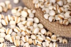薏米生蟲了還能吃嗎？薏米的功效有哪些？[圖]
