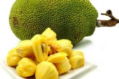 菠蘿蜜怎么切？怎么切菠蘿蜜簡單？[圖]