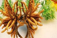 哪些食物會造成孩子早熟？小孩吃什么食物會早熟？[圖]