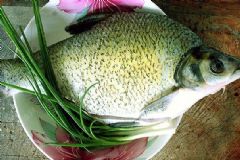 六月適合吃什么魚？六月吃鳊魚好嗎？[圖]