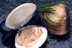 小暑吃鱔魚可以益氣除風(fēng)濕嗎？小暑食療養(yǎng)生吃什么好？[圖]