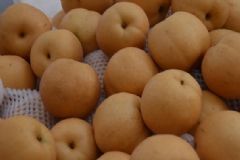 有哪些防治感冒的水果食物？吃什么水果可以防治感冒？[圖]