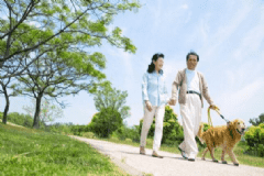 飯后散步好不好？飯后不可以做什么事情？[圖]