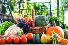 無糖食品真的健康嗎？常見的健康誤區(qū)有哪些？[圖]