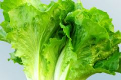 吃生菜真的可以減肥嗎？吃生菜減肥好嗎？[圖]