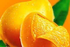 哪些食物具有殺菌的作用？具有殺菌作用的食物[圖]