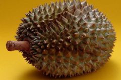 榴蓮怎么看有沒有變質(zhì)？榴蓮的保存方法是什么？[圖]