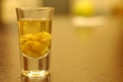 楊梅酒和青梅酒哪個好喝？楊梅酒和梅子酒的區(qū)別？[圖]
