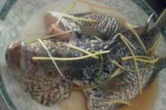 石斑魚的功效有哪些？吃石斑魚的好處有哪些？[圖]