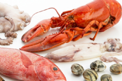 章魚和魷魚有什么區(qū)別？章魚能生吃嗎？[圖]