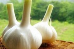 家用大蒜都能治療什么??？大蒜能治什么??？[圖]