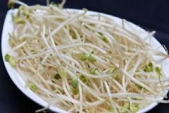 豆芽可治療哪些疾??？用豆芽治病的食療方法[圖]