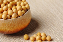 經(jīng)常食用黃豆有哪些功效？食用黃豆有哪些注意事項？[圖]