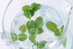 薄荷泡水喝有什么功效作用？薄荷茶的做法有哪些呢？[圖]