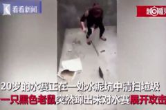 女子遭大老鼠攻擊追咬，怎么趕都趕不走[多圖]