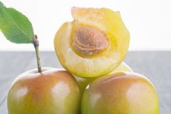 李子沒熟可以吃嗎？李子紅了可以吃嗎？[多圖]