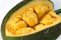 菠蘿蜜能放冰箱嗎？菠蘿蜜可不可以放冰箱冷藏？[圖]
