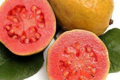 吃番石榴有哪些好處？番石榴有什么功效？[圖]