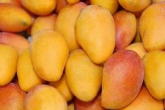 經(jīng)常吃芒果有什么好處？經(jīng)常吃芒果的好處有哪些？[圖]