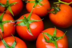 西紅柿可以放冰箱嗎？西紅柿怎樣存儲最好？[圖]