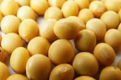 乳房發(fā)育需要哪些營(yíng)養(yǎng)元素？哪些食物富含胸部所需營(yíng)養(yǎng)？[圖]