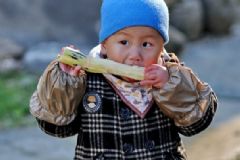 吃甘蔗有什么弊端嗎？甘蔗吃多了為什么會(huì)上火嗎？[圖]