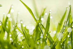 雨水節(jié)氣養(yǎng)生有哪些要注意的？雨水節(jié)氣養(yǎng)生注意事項[圖]