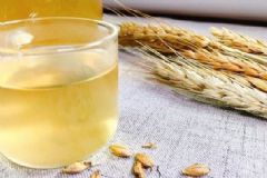 麥芽有哪些功效？麥芽的功效作用有哪些？[圖]