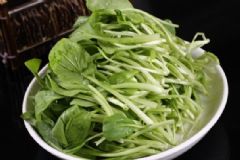 春季的養(yǎng)生常識是什么？春季如何養(yǎng)生更健康？[圖]
