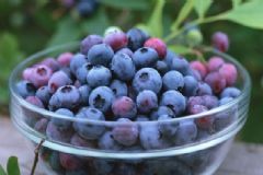 女性經(jīng)期不能吃什么水果？女性經(jīng)期吃什么食物最健康？[圖]