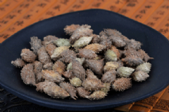 蒼耳子煮水喝有什么作用？蒼耳子煮水能治鼻炎嗎？[圖]