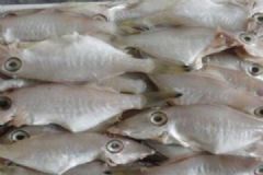 扒皮魚的營養(yǎng)價值有哪些？扒皮魚有哪些功效作用？[圖]