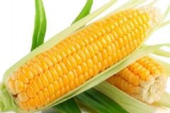 水果玉米是轉(zhuǎn)基因食品嗎？水果玉米有哪些營養(yǎng)價值？[圖]