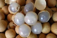 孕婦哪些食物不能吃？孕婦的飲食禁忌有哪些？[圖]