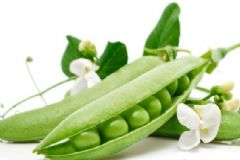 春季吃豆有什么好處？春季吃豆的好處是什么？[圖]