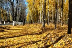 秋季如何預(yù)防秋乏？秋季預(yù)防秋乏的小常識[圖]