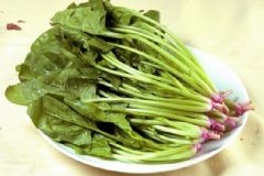 孕婦吃菠菜好嗎？吃菠菜有哪些營養(yǎng)價值？[圖]