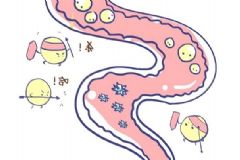 哪種排便姿勢是最好的？哪種排便姿勢最順暢[圖]