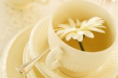 干燥上火喝干燥上火適合喝的茶什么茶好？干燥上火適合喝什么茶？[圖]