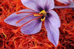 紅花和藏紅花有什么區(qū)別？藏紅花要怎么鑒別？[圖]