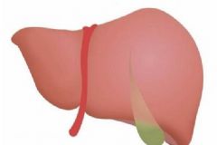 會誘發(fā)肝癌的食物種類有哪些？哪些食物傷肝嚴(yán)重[圖]