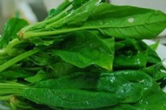 嬰兒輔食菠菜泥怎么做？嬰兒輔食菠菜泥的做法？[圖]